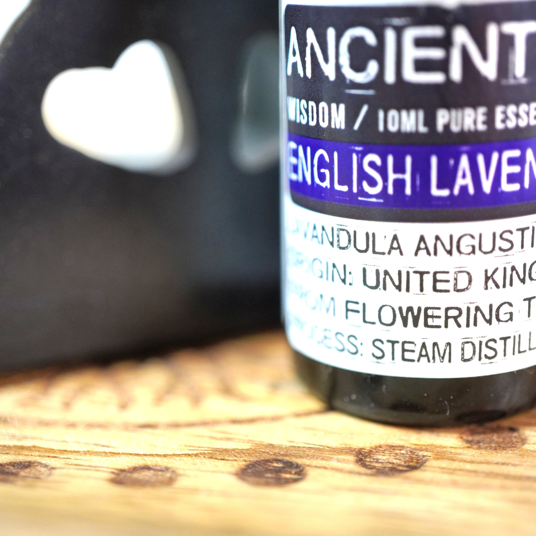 Engelse Lavendel etherische olie, 10 ml