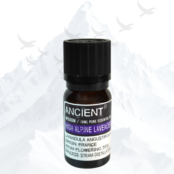 Alpen Lavendel Etherische Olie Ancient Wisdom - 1905