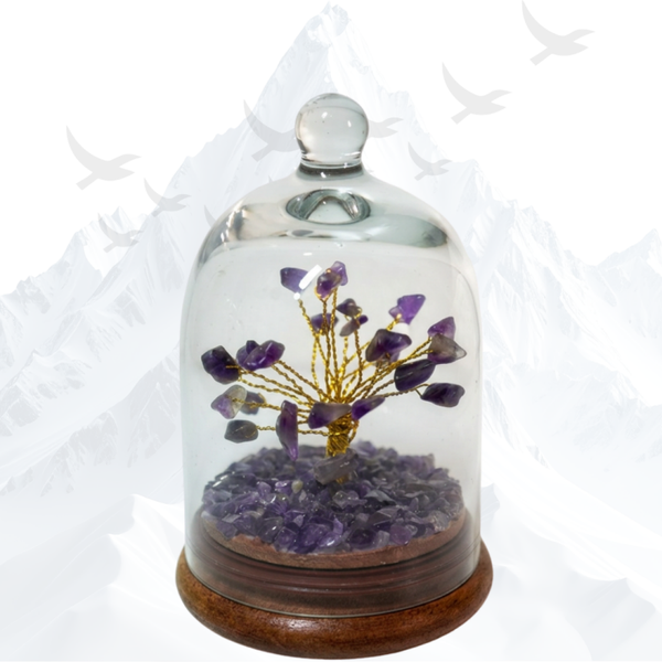 Koepeltuin Amethist - 260032