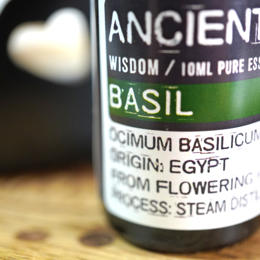 Basilicum, etherische olie, 10 ml.