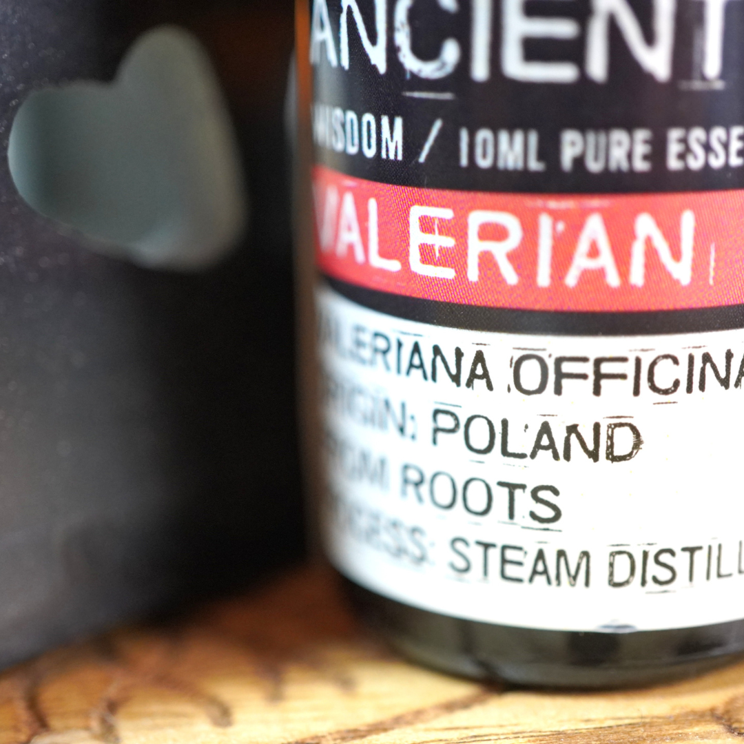 Valeriaan etherische olie van Ancient Wisdom, 10 ml