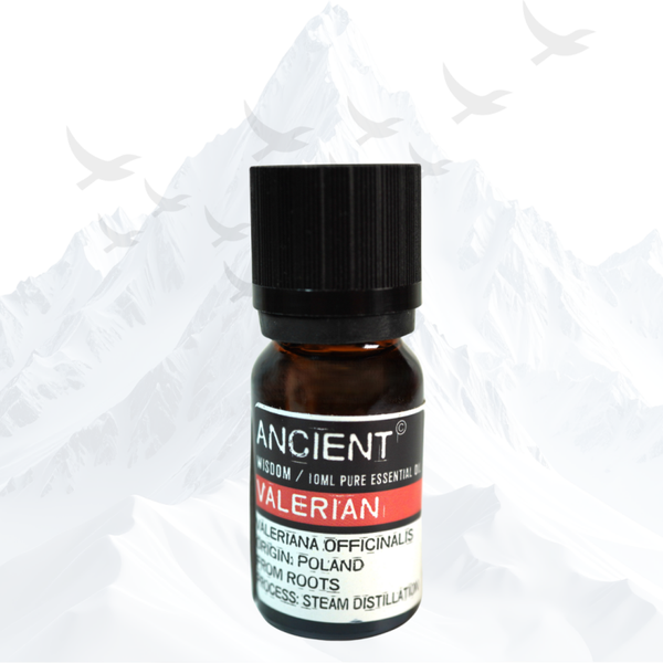 Valeriaan Etherische Olie Ancient Wisdom - 260392
