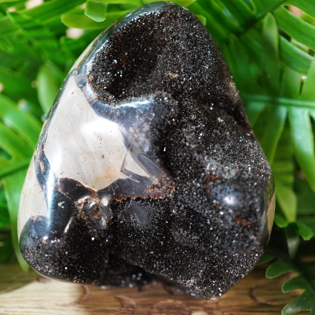 Druzy septarie free form 