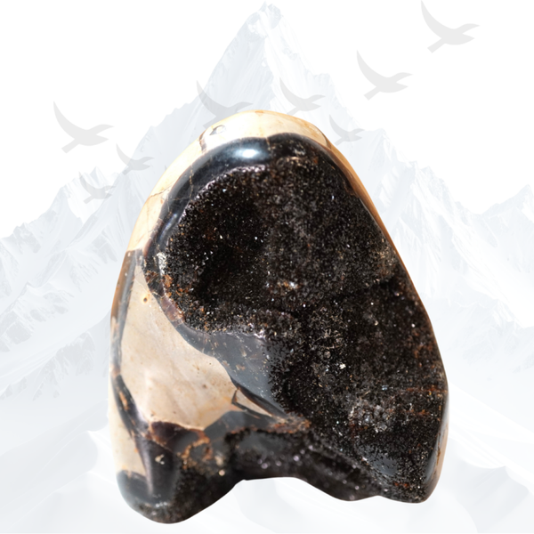 Septarie Free Form - 263170