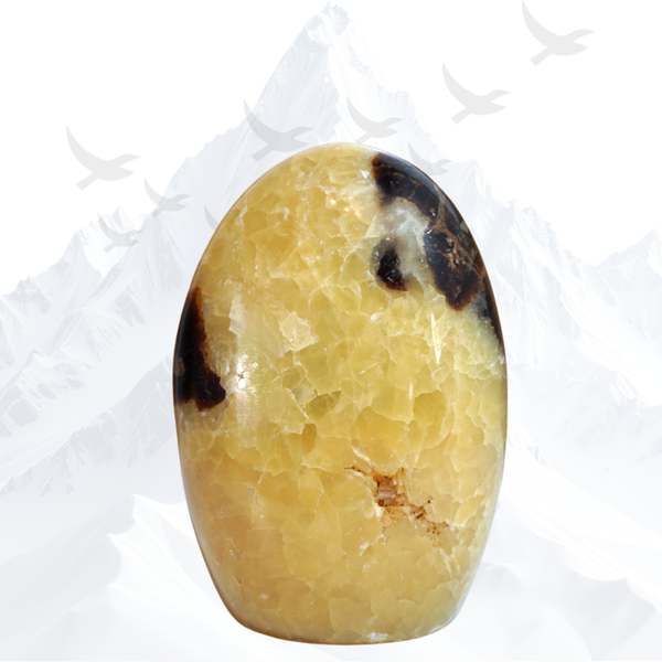 Septarie Free Form - 263180