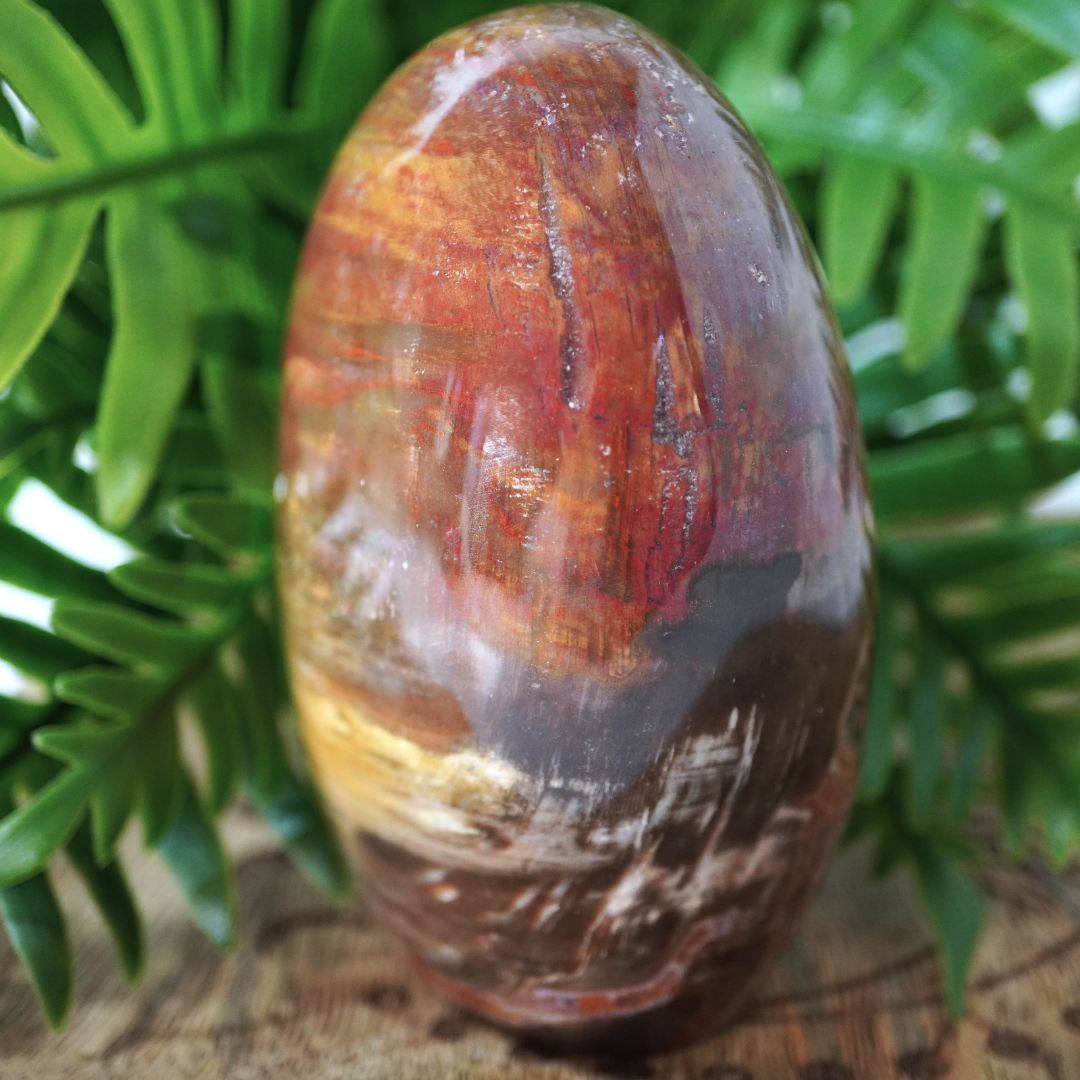 Versteend hout free form, gepolijst, 475 gram. Herkomst Madagaskar