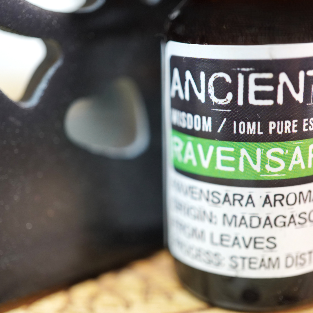 Ravensara etherische olie van Ancient Wisdom, 10 ml