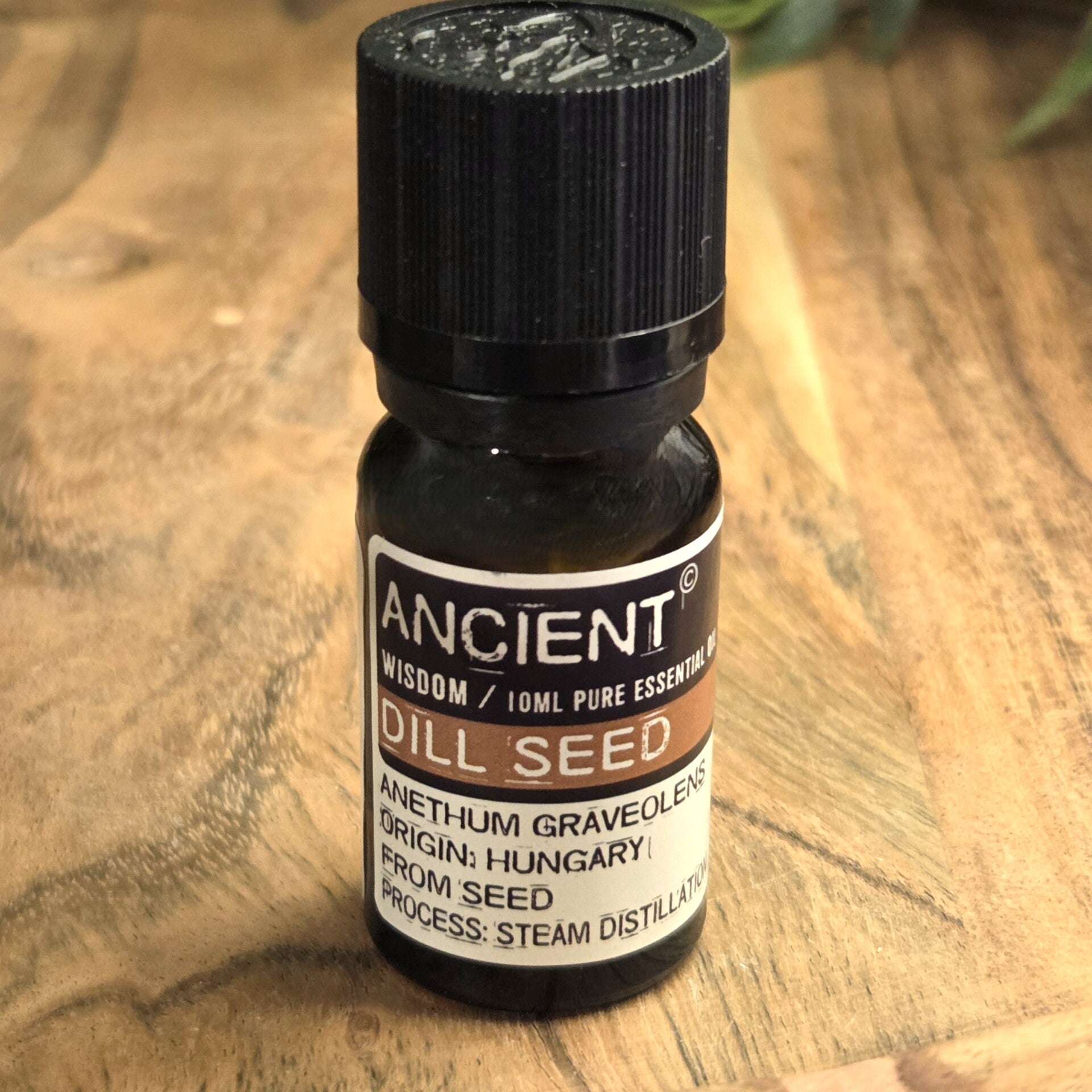 Dillezaad Etherische Olie Ancient Wisdom - 3299