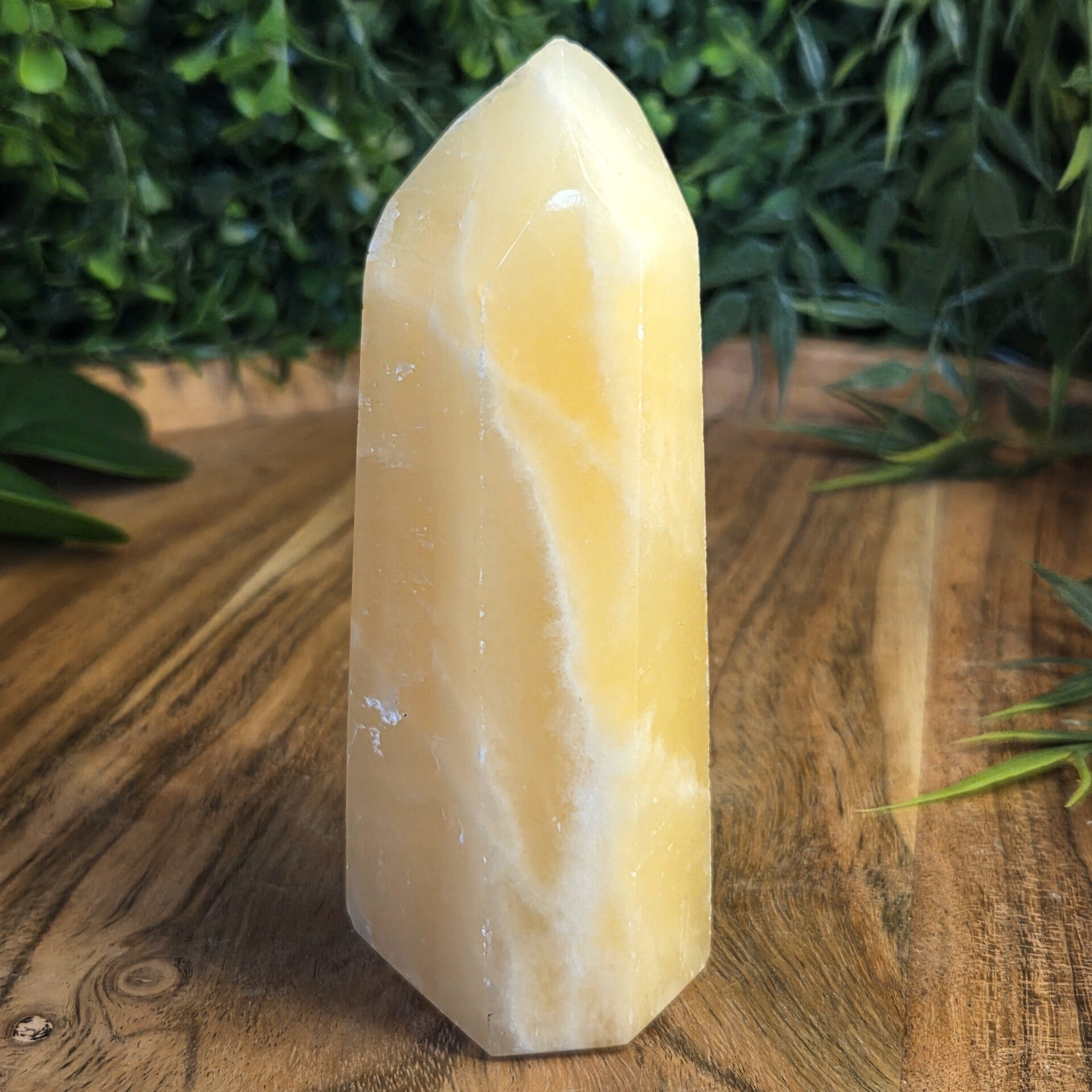 Gele calciet punt van ongeveer 12 cm.