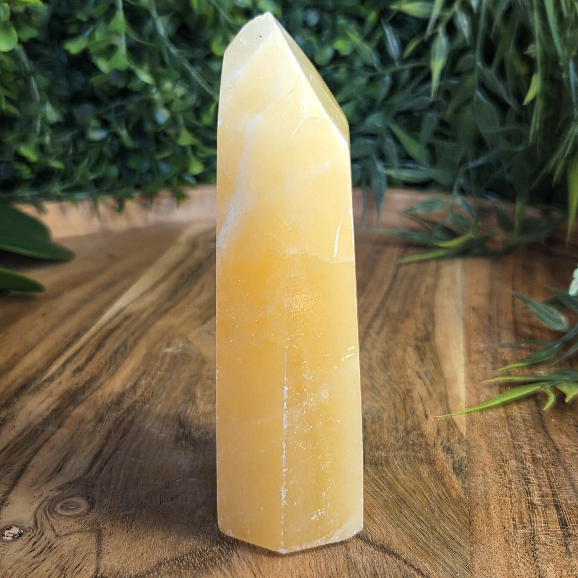 Gele calciet punt van ongeveer 12 cm.