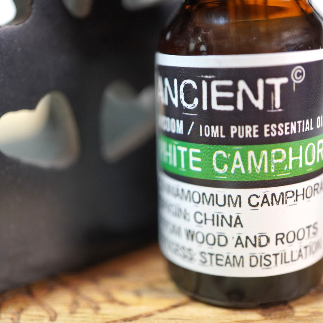 Witte kamfer etherische olie van Ancient Wisdom, 10 ml