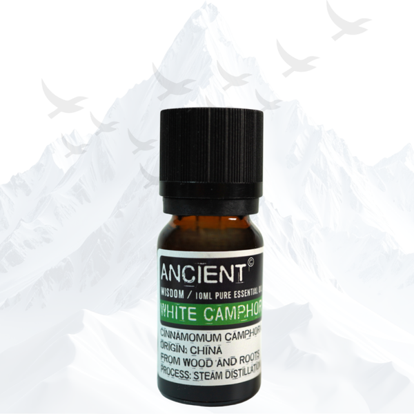 Witte Kamfer Etherische Olie Ancient Wisdom - 3307