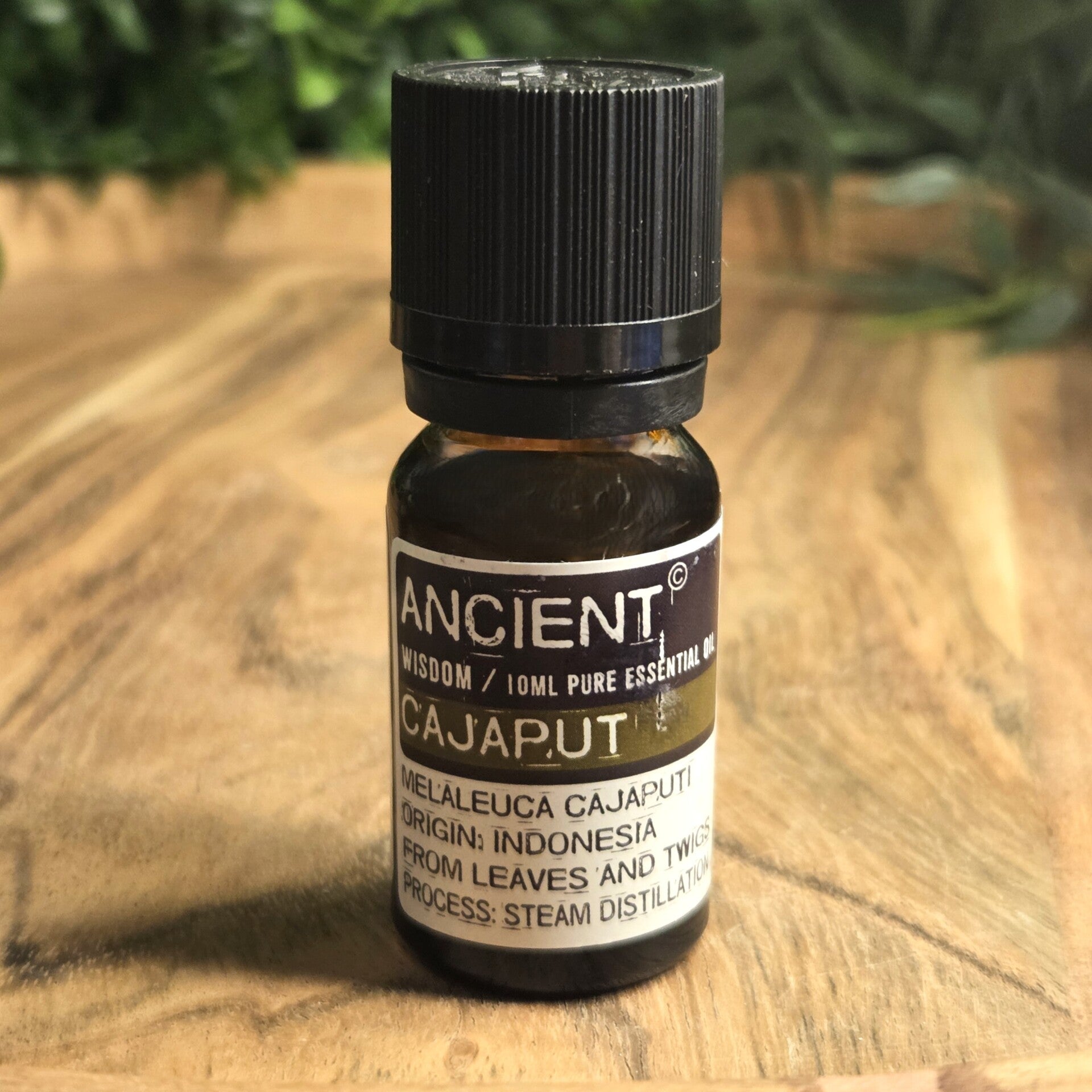 Cajaput Etherische Olie Ancient Wisdom - 3314