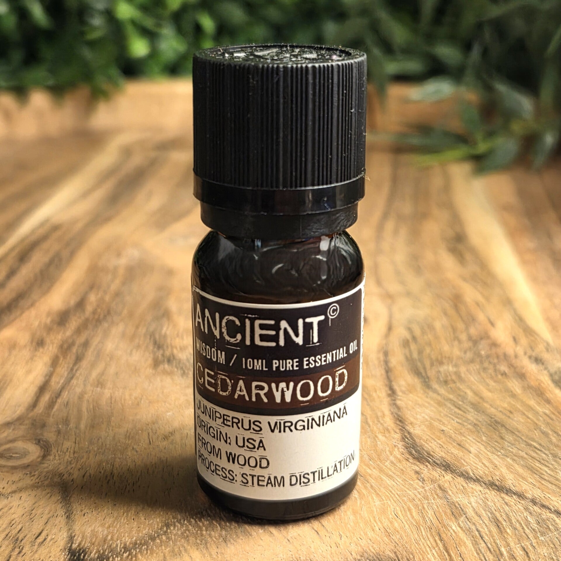 Cederhout Etherische Olie Ancient Wisdom - 3317