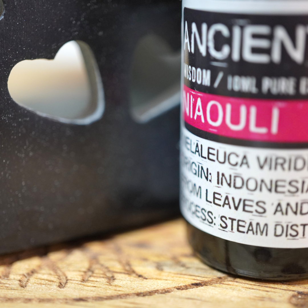 Niaouli etherische olie van Ancient Wisdom, 10 ml