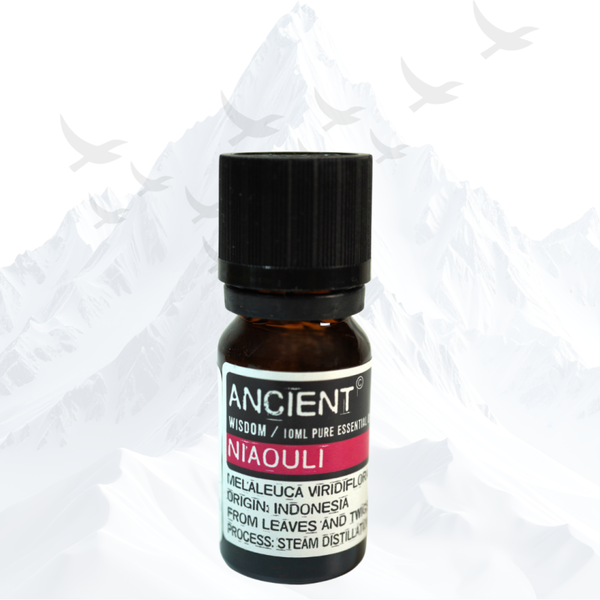 Niaouli Etherische Olie Ancient Wisdom - 3323