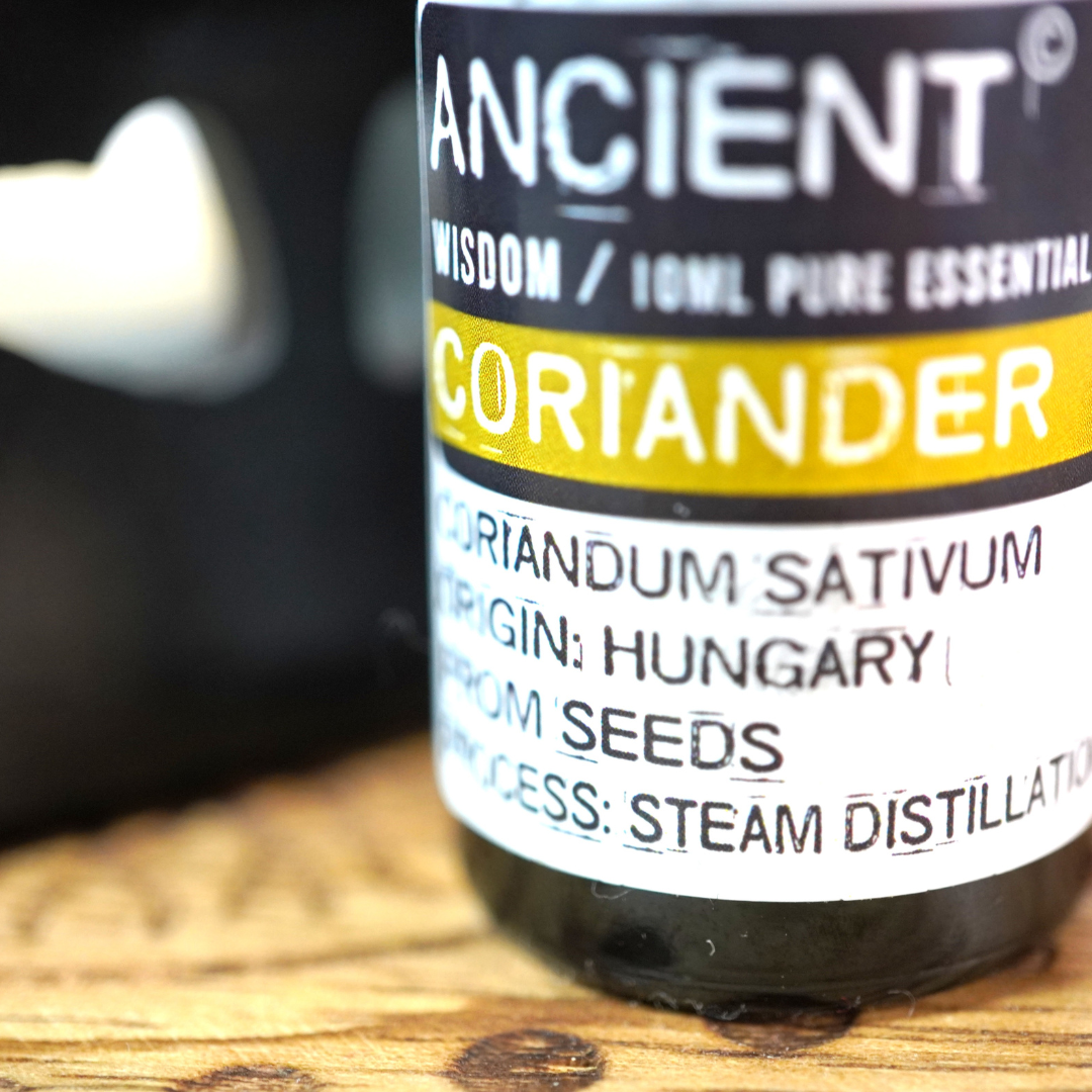 Pure korianderzaad olie, 10 ml