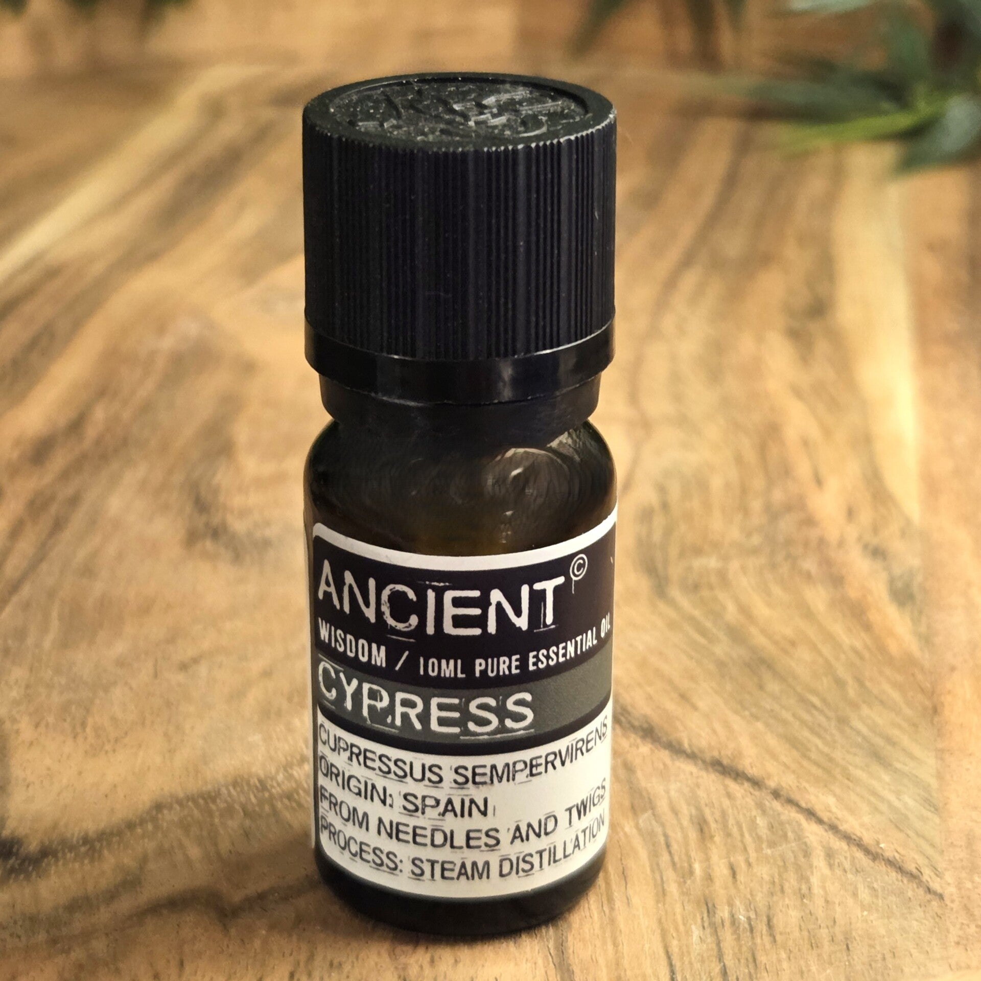 Cipres Etherische Olie Ancient Wisdom - 3374