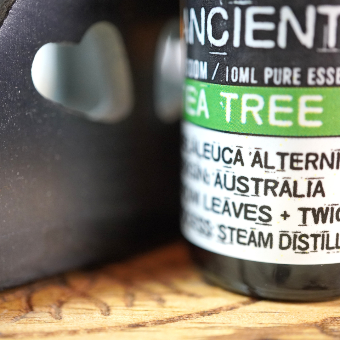 Tea Tree etherische olie van Ancient Wisdom, 10 ml