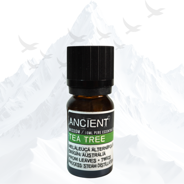 Tea Tree Etherische Olie Ancient Wisdom - 3560