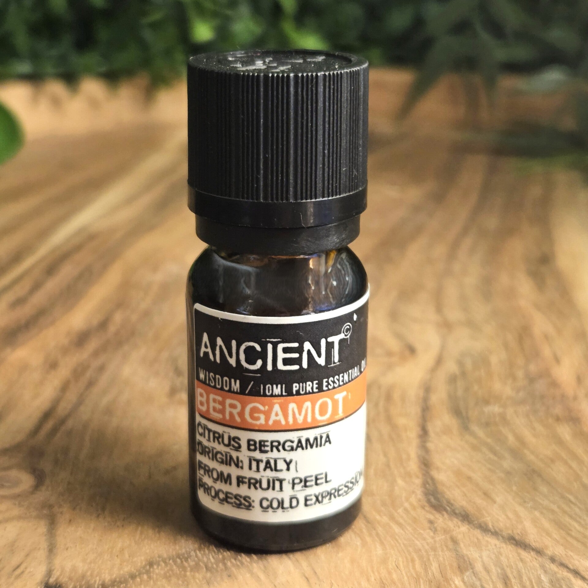 Bergamot Etherische Olie Ancient Wisdom - 3564