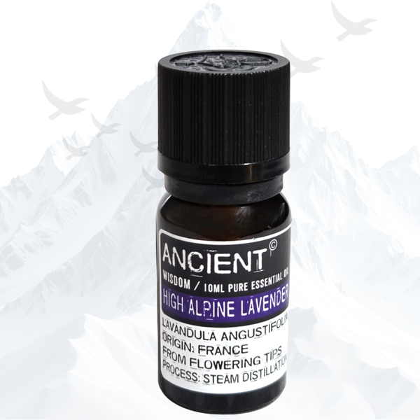 Alpen Lavendel Etherische Olie Ancient Wisdom - 1905