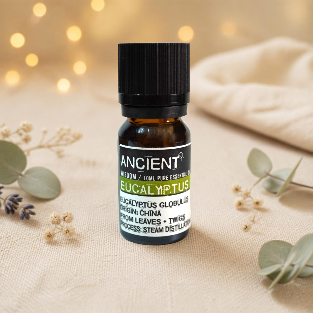 Eucalyptus Etherische Olie Ancient Wisdom - 0549