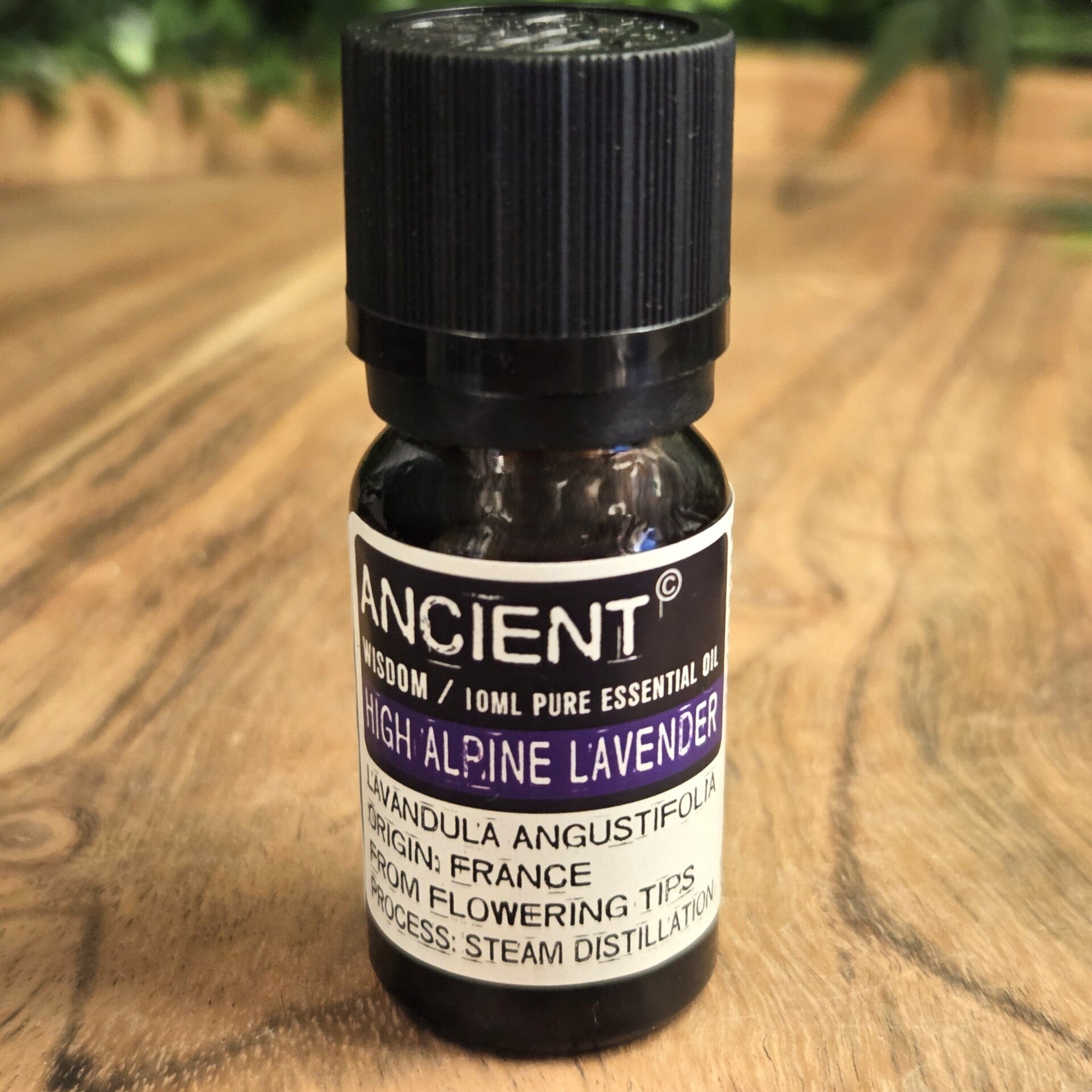 Alpen Lavendel Etherische Olie Ancient Wisdom - 1905