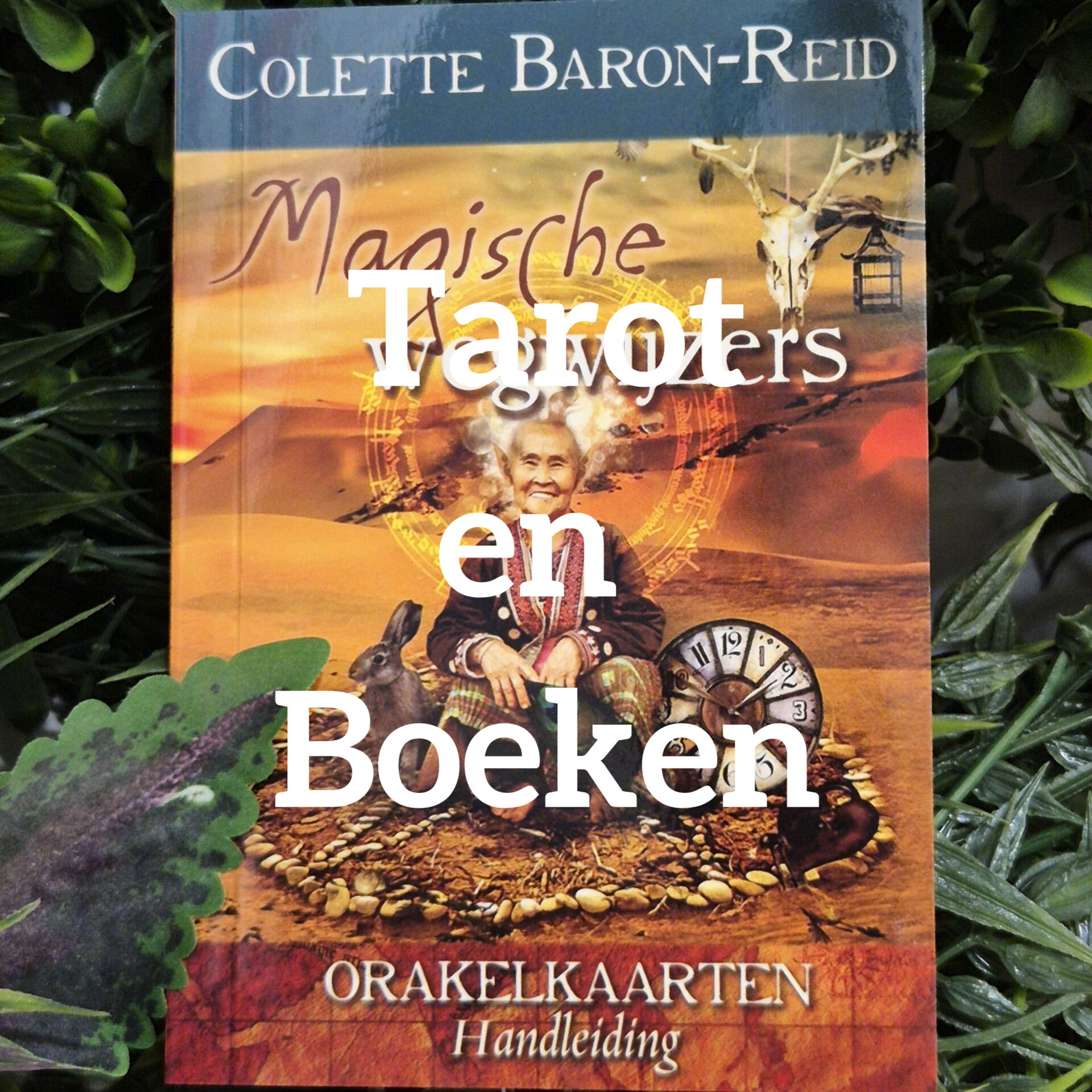 Vind hier ons assortiment tarotkaarten, orakelkaarten, boeken en accessoires.