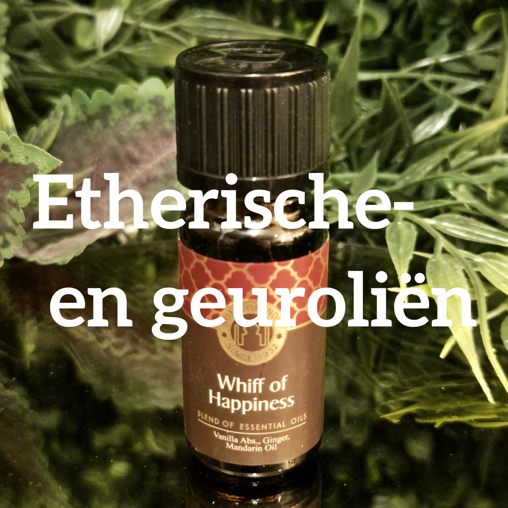 Vind hier ons assortiment essentiële oliën