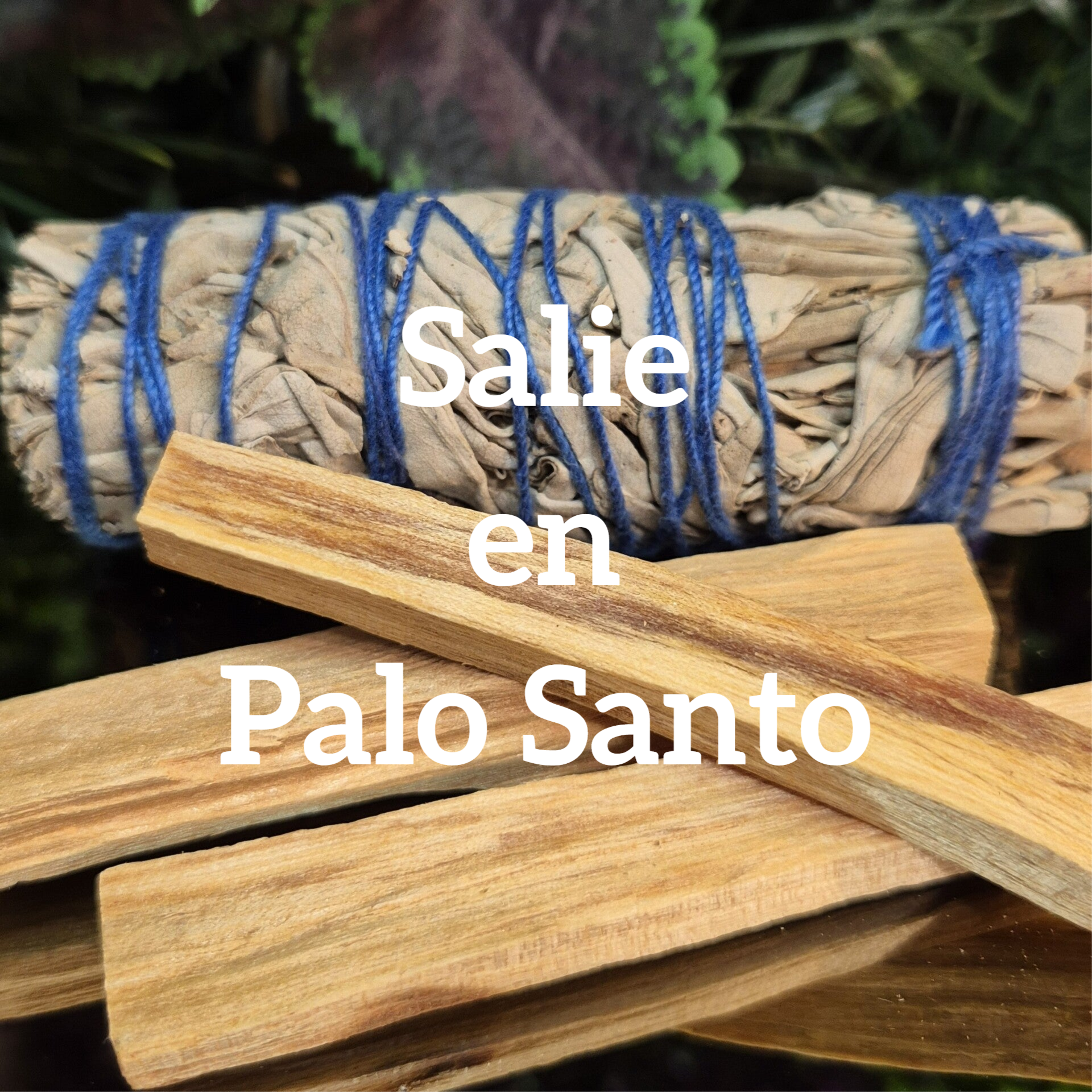 Vind hier ons assortiment salie en palo santo.
