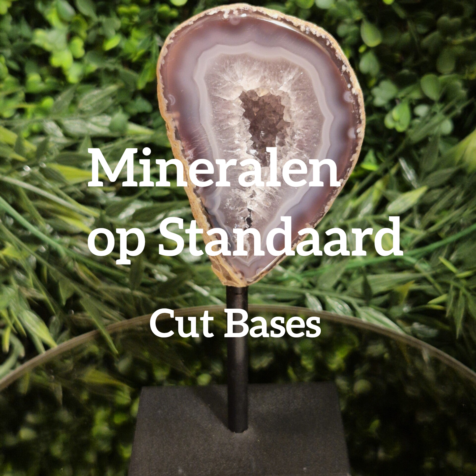 Vind hier ons assortiment Mineralen op Standaard van Spirituele Shop JututBeyond