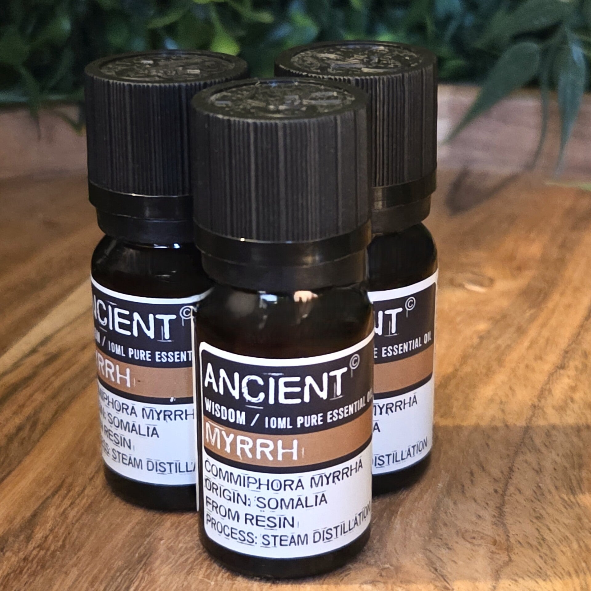 Mirre, etherische olie van Ancient Wisdom, 10 ml