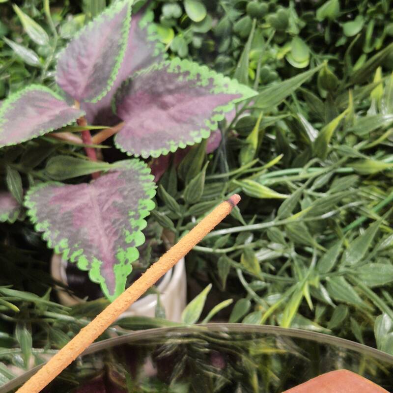 Ayurveda Satya wierookstokjes.