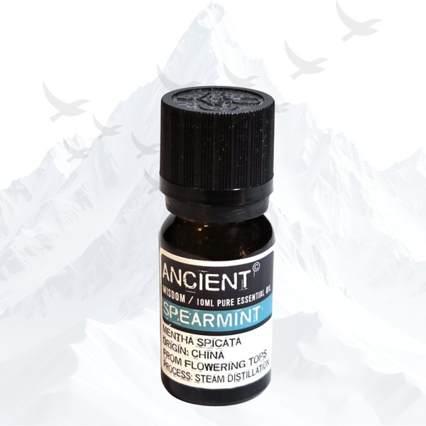 Spearmint Etherische Olie Ancient Wisdom - 0602