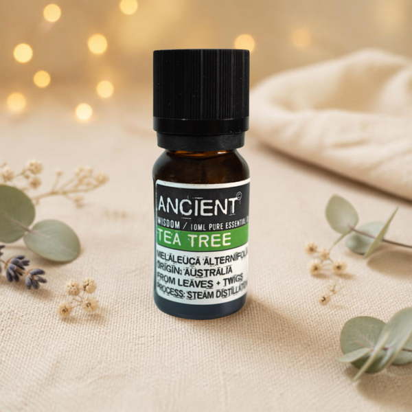Tea Tree Etherische Olie Ancient Wisdom - 3560