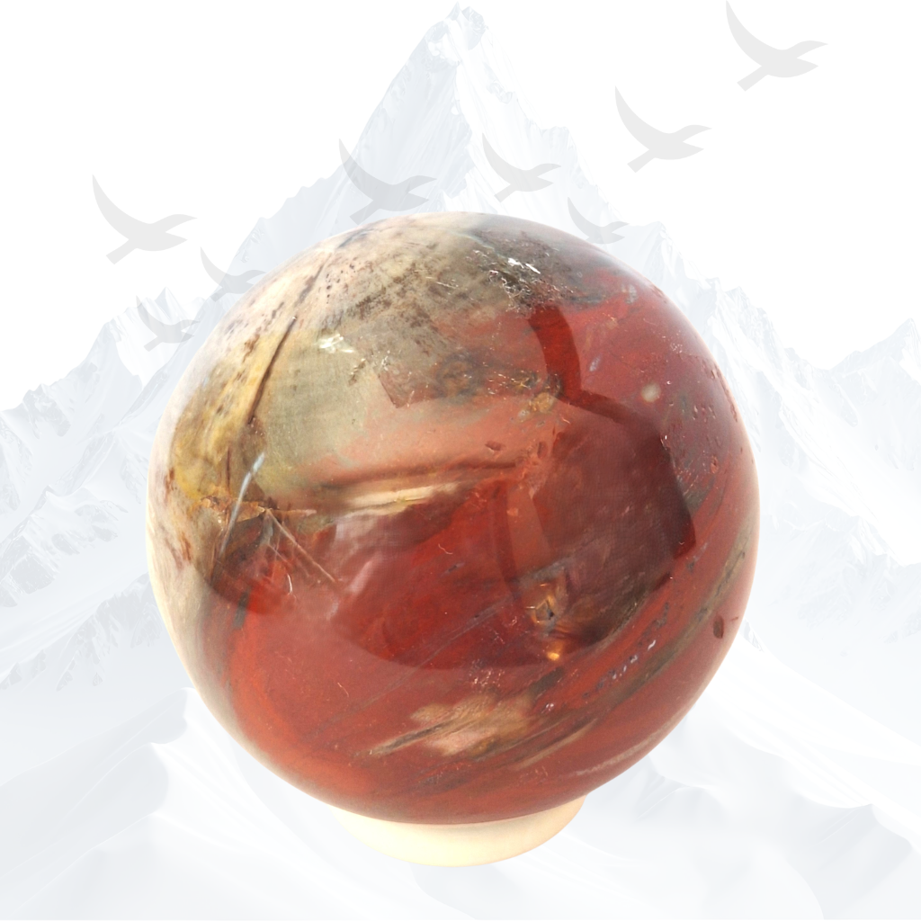 Versteend hout bol met een afmeting van 60 mm. Herkomst : Madagaskar