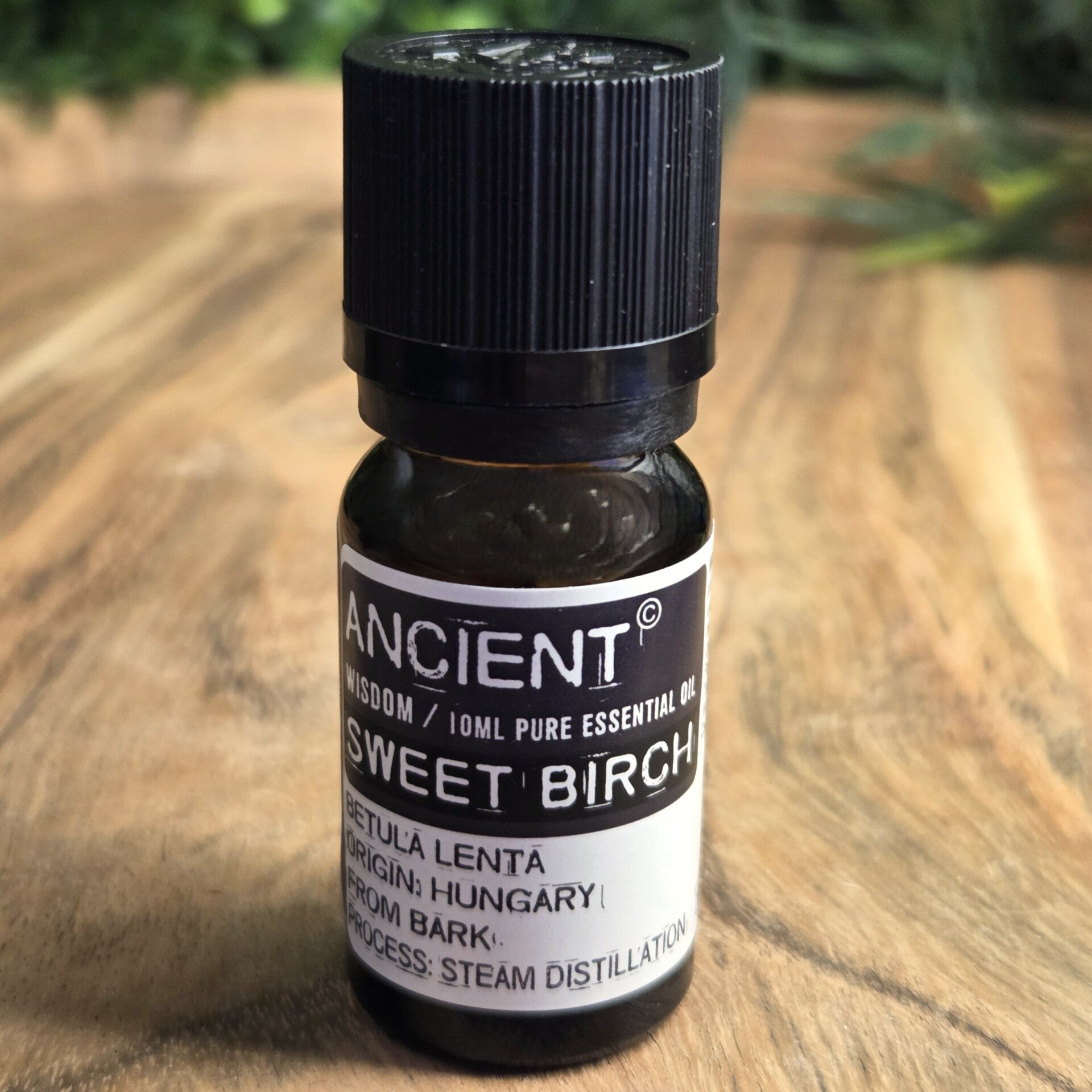 Witte Berk Etherische Olie Ancient Wisdom - 1633