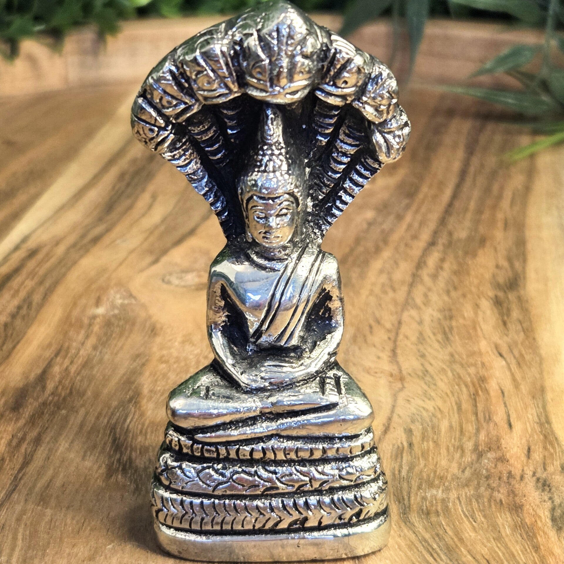 Geboortedag Boeddha Zaterdag