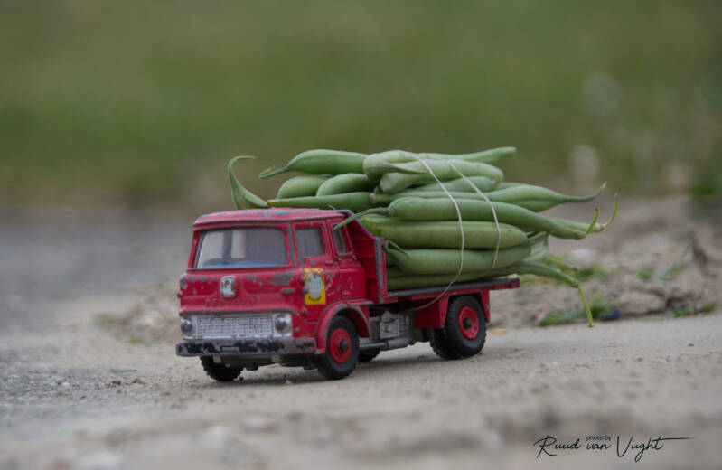 toycarphotography