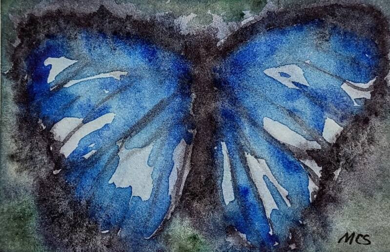 “Blue Morpho” Watercolor 2.5” x 3”