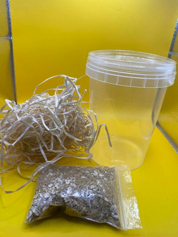 Fruitvliegjes cultuur kweekset