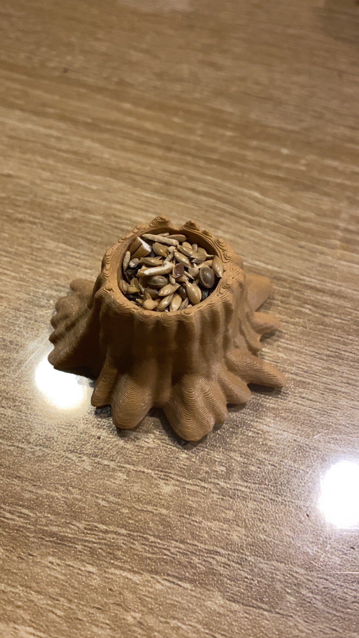 Voederschaaltje Messor zaden boomstronk