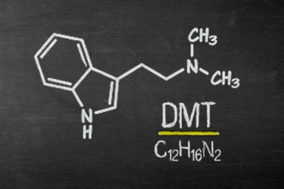 Chemische Strukturformel von DMT mit der Bezeichnung 'DMT' und der chemischen Formel 'C12H16N2' auf einer Tafel, Kontext Blog Mediumship & Research Institut für Medialität & Afterlife Forschung.