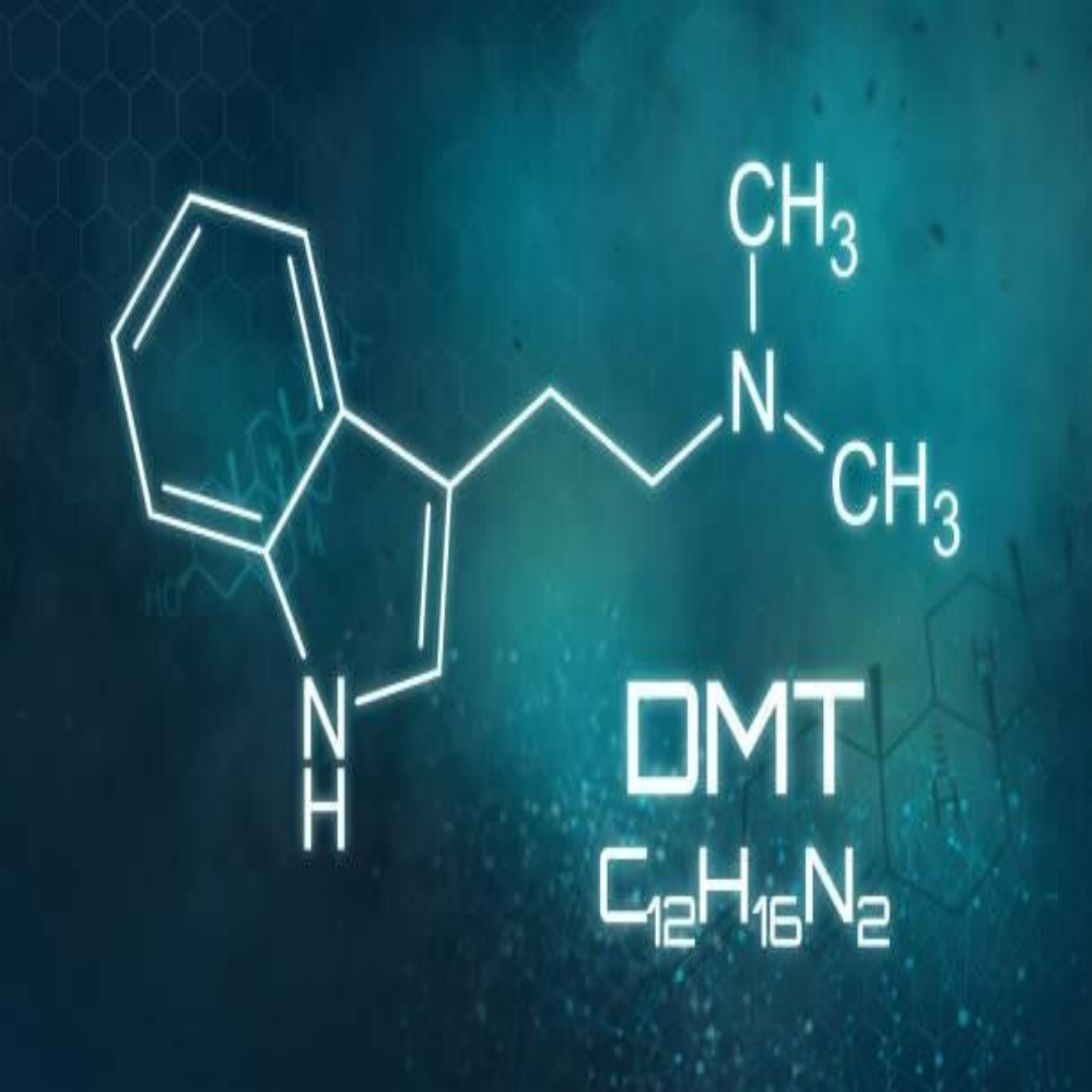 Chemische Strukturformel von DMT mit der Bezeichnung 'DMT' und der chemischen Formel 'C12H16N2' auf einer Tafel, Kontext Blog Blog Jenseitskontakte Jana Lorenz.