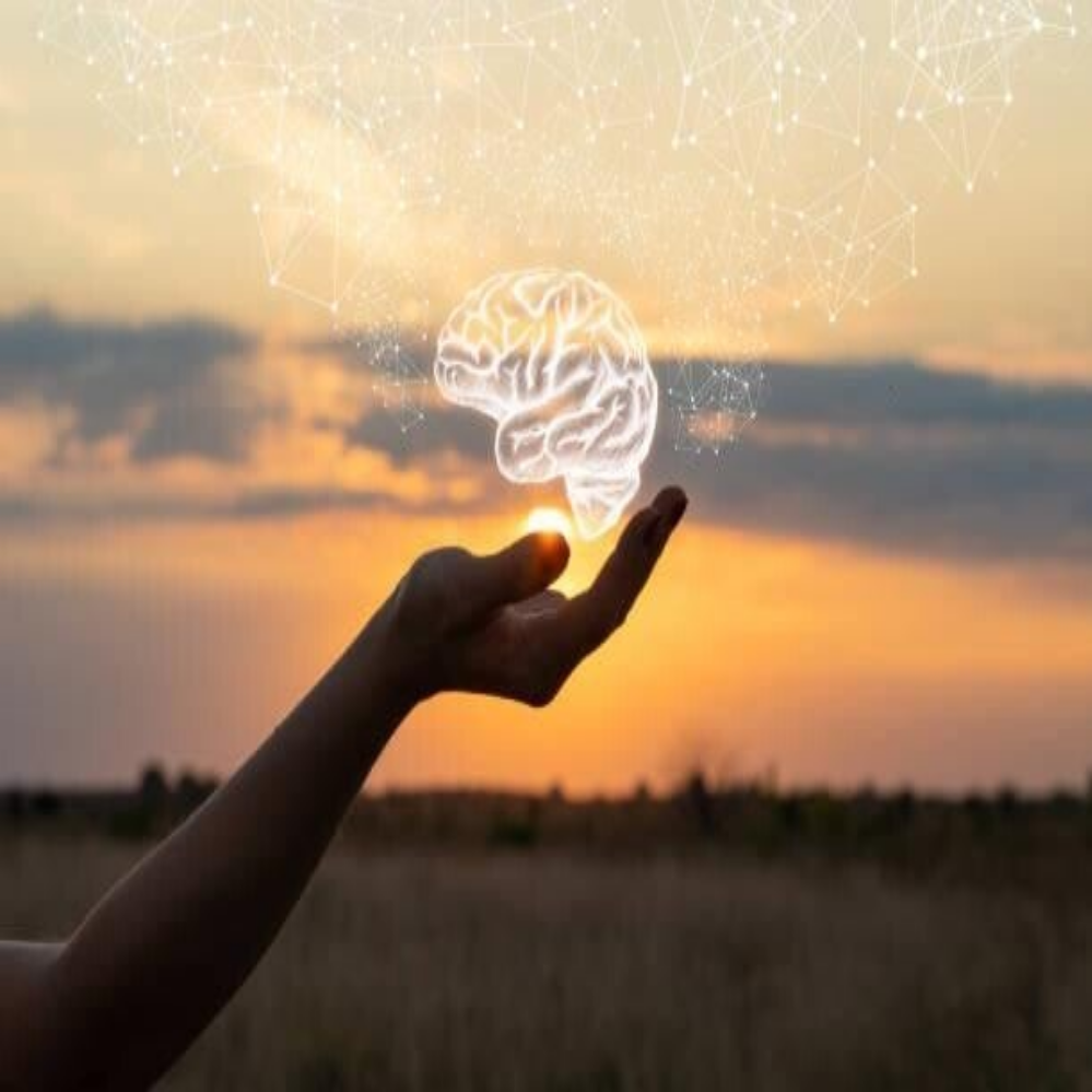 Hand einer Person hält eine gezeichnete weiße Kreidezeichnung eines Gehirns auf grauem Hintergrund, symbolisch für Denken oder Geist, Kontext Blog Jenseitskontakte Jana Lorenz.