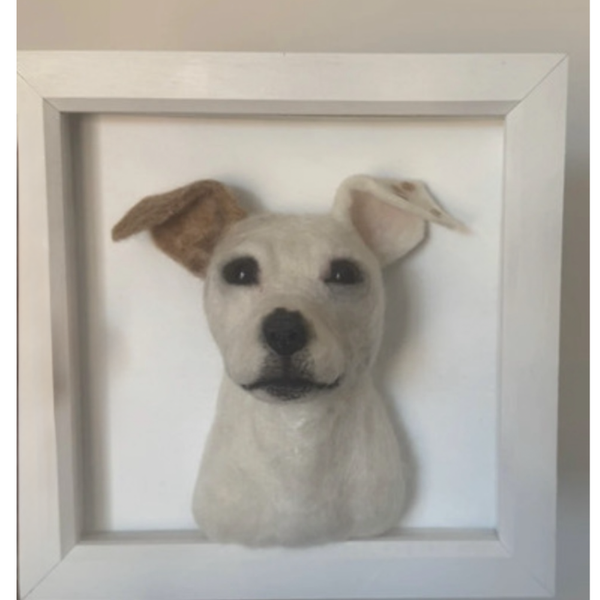 Small fuzzy head