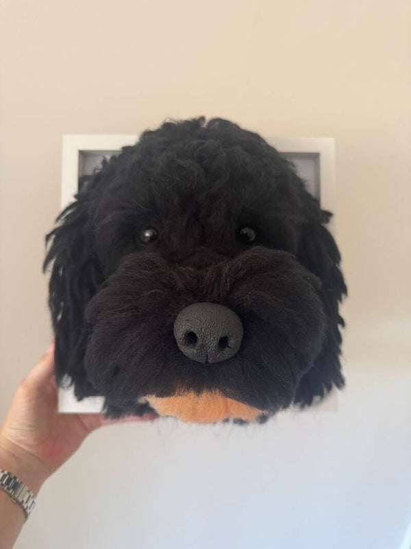 Fuzzy head (Regular Size) wool head in frame