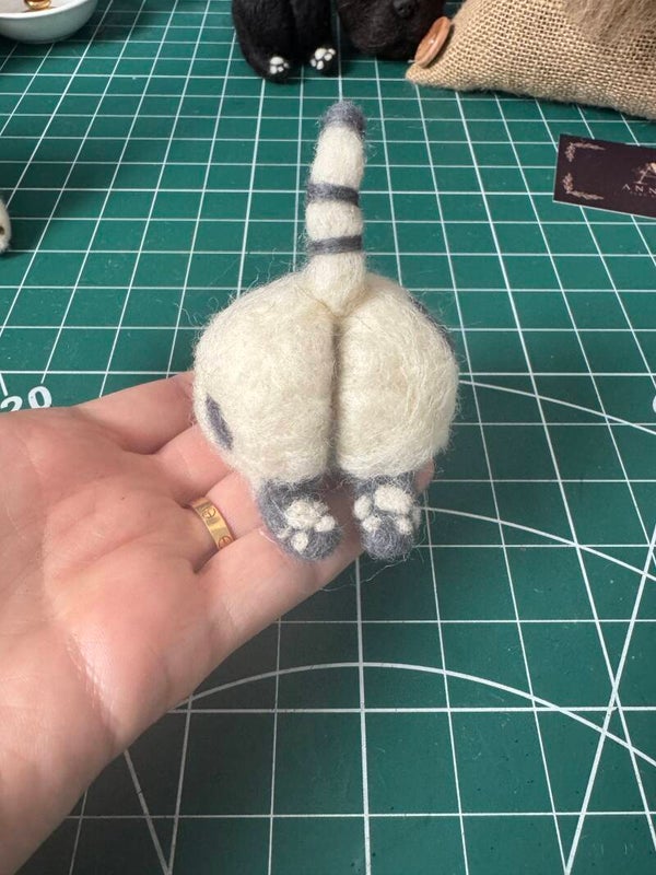 Cat bum