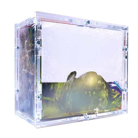 Protective Sleeves for Collectible Cards – Pack of 3 x 100 Transparent Sleeves 66 × 91 mm – PVC and Acid Free – Compatible Pokémon, Yu-Gi-Oh, Magic, Lorcana – Wolfsleeve Protective Sleeves for Collectible Cards – Pack of 3 x 100 Transparent Sleeves 66 × 91 mm – PVC and Acid Free – Compatible Pokémon, Yu-Gi-Oh, Magic, Lorcana – Wolfsleeve